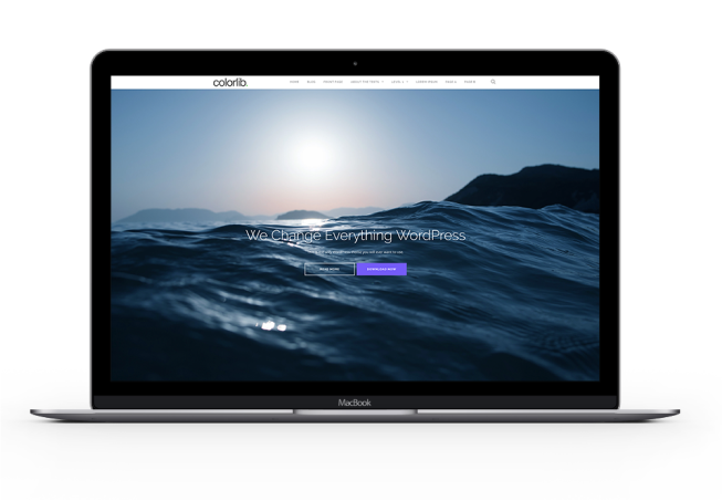 iBook with Shapely Hero Section on Screen