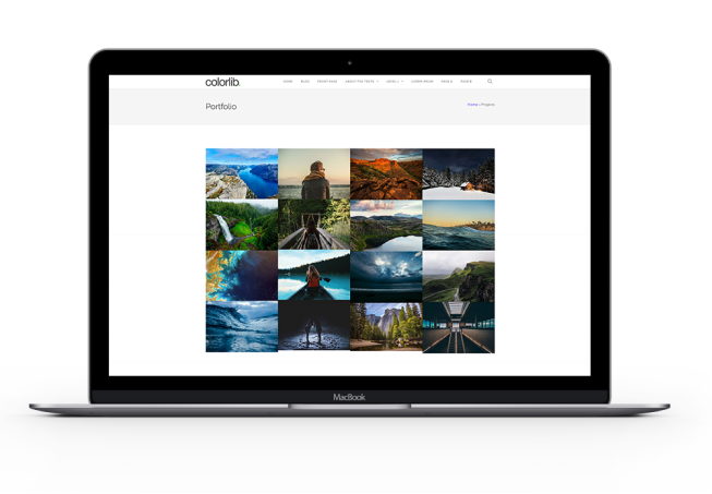 iBook with Shapely gallery on screen